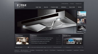 專業(yè)網站設計典范 凱娜設計官網與信息系統(tǒng)集成的優(yōu)秀實踐